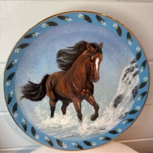 Danbury mint cascading thunder collector plate by Diana Beach